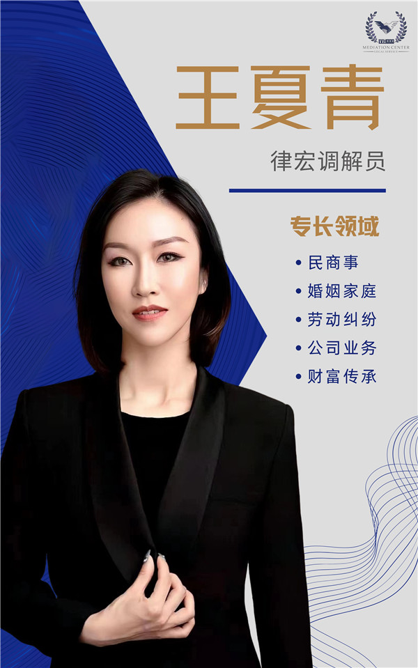 调解员介绍